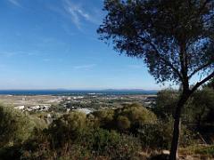 183 HYERES ET SES PALMIERS D15_000028